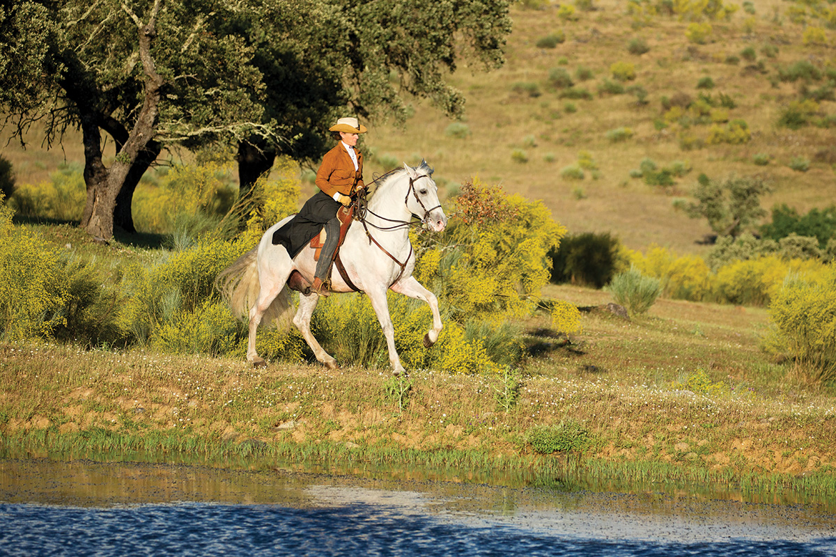 A Lusitano horse being ridden alongside a pond