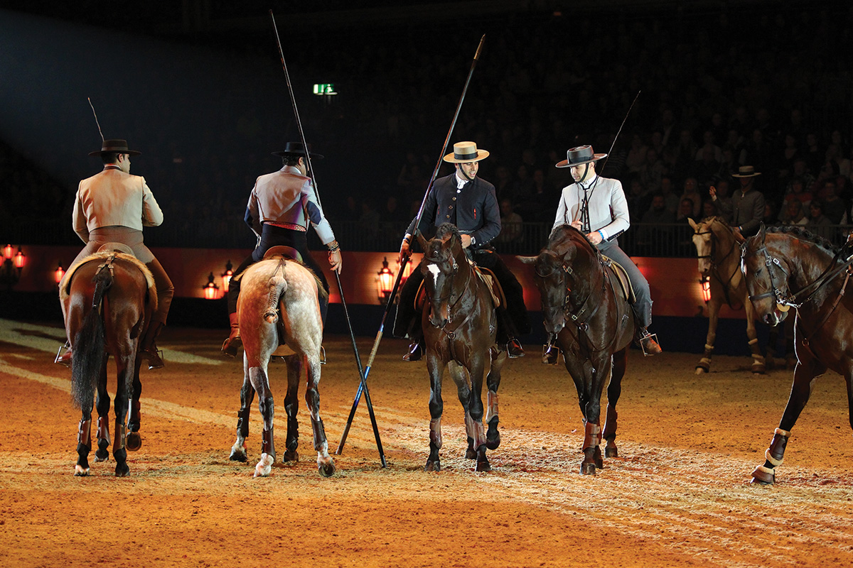Lusitano horses in a display of traditional garrocha training
